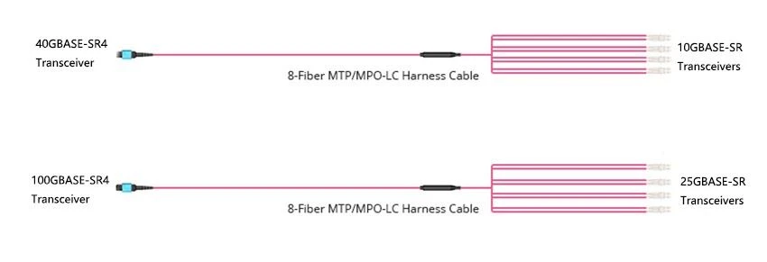 Base-8 MTP MPO structured cabling for 10g-40g or 10g 25g-100g network upgrade